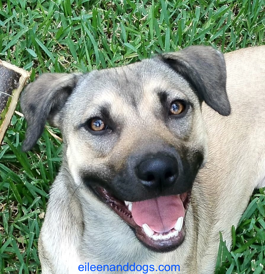 Clara relaxed 1 Clara relaxed 1