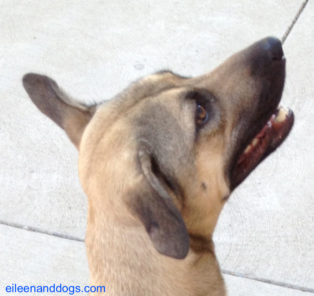 Clara relaxed 2 Clara relaxed 2